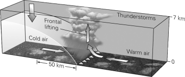 <strong>In the figure below,what kind of front develops when a cold air mass moves into a warm air mass? </strong> A)a warm front B)a cold front C)an occluded front D)a tropical front