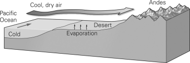 The figure below illustrates the formation of a ________.