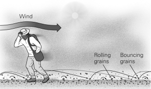In the figure below,the sand grains are being transported by ________.