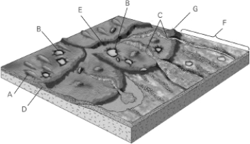 Identify the esker in the figure below.
