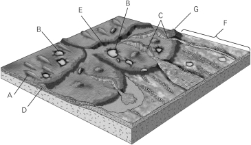 <strong>Identify the area where layered sediments have been deposited in the figure below. </strong> A)E B)C C)A D)F