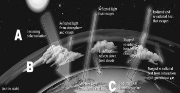 <strong>The figure below shows the transmission,absorption,and reflection of radiation from various sources.In which layer (A,B,or C)do greenhouse gases accumulate? </strong> A)A B)B C)C D)Greenhouse gases are free to move among the layers.