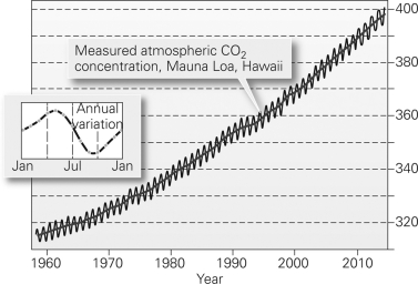 <strong>In the figure below,why is there a seasonal variation in carbon dioxide (CO₂)concentrations? </strong> A)CO2 concentrations rise and fall as photosynthesis decreases and increases. B)CO2 concentrations rise and fall in conjunction with power plant emissions. C)CO2 concentrations rise and fall with variations in solar radiation. D)The measurements were made in different places at different times of year.