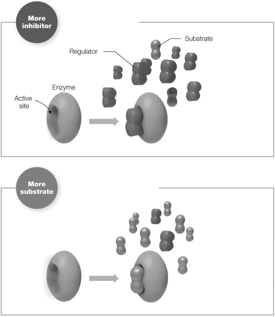 The figure shows which process?  