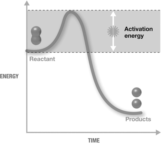 <strong>The figure shown is an exergonic reaction because </strong> A) activation energy was required. B) it is a decomposition reaction and the products have a lower final energy than the reactants. C) it is a decomposition reaction. D) the products have a lower final energy than the reactants. E) activation energy was required and the products have a lower final energy than the reactants.
