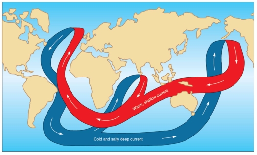 <strong>All choices below are correct about this figure except: </strong> A) the circulation of deep-ocean currents is the most important process in the global redistribution of solar energy. B) the circulation is called thermohaline flow. C) the circulation represents surface waters of the oceans. D) seawater density is increased at high latitudes. E) in warm climates the seawater is even saltier.