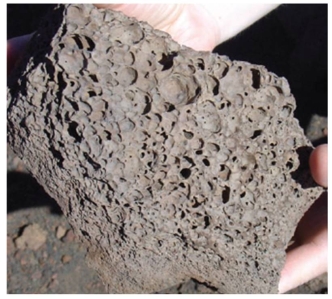 <strong>The origin of the holes on this rock surface from Hawaii is: </strong> A) rainfall impact during solidification. B) microbiological action,that is,microbes decompose organic material which is incorporated into solids. C) gas that escaped during lava solidification. D) all of these. E) unknown,the rock could come from another planet.