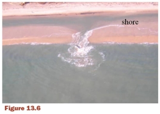 <strong>If you are caught in the rip current shown on this figure (Figure 13.6)your escape tactic will be: </strong> A) swimming along the current. B) swimming toward shore. C) swimming parallel to the shore. D) swimming against the current. E) not to do anything