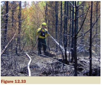 <strong>Match the action for the fire suppression in Figure 12.33 with the appropriate level of fire intensity (kW/m). </strong> A) 0 - 10 B) 2000 - 4000 C) 500 - 2000 D) 4000 - 10 000 E) >30 000