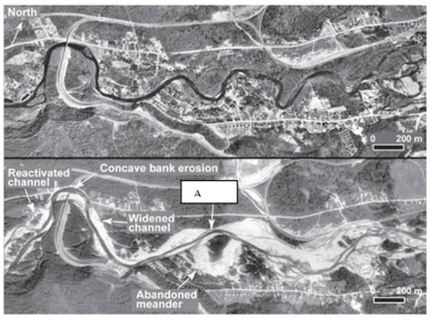 <strong>Arrow A in this figure (Figure 11.20)shows the following channel modification: </strong> A) reactivated channel. B) widened channel. C) avulsion. D) bank erosion. E) convex bank erosion.