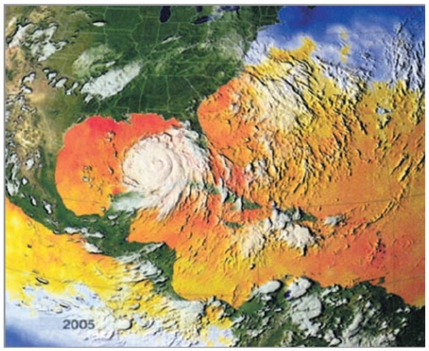 <strong>The figure above (Hurricane Katrina)shows that hurricanes rotate in a ________________ around a central core in the Northern Hemisphere.  </strong> A) clockwise direction B) counter-clockwise direction C) back and forth motion D) zigzag pattern E) random pattern <div style=padding-top: 35px> 