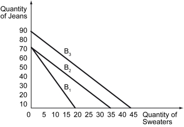 <strong>The following figure shows a consumer's budget constraint for jeans and sweaters. Refer to the figure above.Suppose B₁ is the original budget constraint of a consumer.A change in the budget constraint from B₁ to B₂ indicates ________.</strong> A) an increase in the price of sweaters B) a decrease in the price of sweaters C) an increase in the consumer's income D) a decrease in the consumer's income.