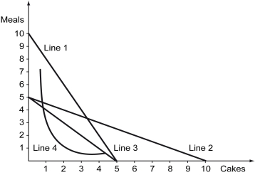 <strong>Christine is a chef.She can cook a meal in 1 hour and make a cake in 2 hours.She works 10 hours per day.Which of the four lines in the following figure represents her production possibilities curve? </strong> A) Line 1 B) Line 2 C) Line 3 D) Line 4