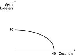 <strong>Alexander Selkirk lives on Juan Fernandez Island.He spends his days gathering coconuts and spiny lobsters.If he spends all day gathering coconuts,he can collect 40 coconuts.If he spends all day collecting spiny lobsters,he can capture 20 in a day.His production possibilities curve is shown in the figure below. As Selkirk collects more coconuts,the opportunity cost of a coconut is ________.</strong> A) decreasing B) constant C) increasing D) unpredictable