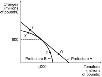 The figure below shows production possibilities curves for tomatoes and oranges in two prefectures in a country. -Refer to the figure above. Suppose that Prefecture A produces at point W, while Prefecture B produces at point X. Could there be gains from trade (Prefecture A sells tomatoes to Prefecture B, and Prefecture B sells oranges to Prefecture B)? Why or why not?