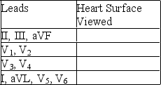 Indicate the heart surface viewed by each of the following:
