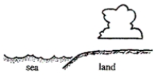 <strong>Referring to the figure below, in which of the following conditions do clouds most likely form? </strong> A)during the night, when the land is warmer than the water B)during the day, when the land is colder than the water C)during the day, when the land is warmer than the water D)during the night, when the land is colder than the water