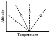 <strong>Referring to the figure below, which of the environmental temperature profiles indicates the most stable atmosphere? </strong> A)profile A B)profile B C)profile C D)profile D