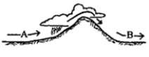 <strong>Referring to the figure below, which of the following accurately describes the air temperature and dew point at A and B. </strong> A)The temperature and dew point are both colder at A compared to B B)The temperature is colder and the dew point is higher at A compared to B C)The temperature is warmer and the dew point is lower at A compared to B. D)The temperature is warmer and the dew point is higher at A compared to B.