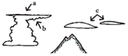 <strong>Clouds Which of the following is the cloud feature labelled B?</strong> A)lenticular B)anvil C)halo D)mammatus