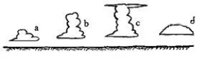 -Which of the clouds sketched in the figure above can be referred to as a towering cumulus (cumulus congestus)?
