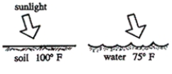 <strong>Referring to the diagram, sunlight energy is added at equal rates to soil and water. Which of the following factors contributes to the different temperatures of the two surfaces? </strong> A)angle of the sun on the horizon B)heat capacity C)composition of the overlying atmosphere D)time of the year