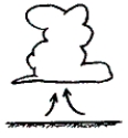 <strong>Referring to the figure below, which of the following two energy transport processes are illustrated by the warm air rising? </strong> A)advection and latent heat energy transport B)convection and electromagnetic radiation C)convection and latent heat energy transport D)advection and electromagnetic radiation