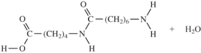 <strong>When I and II react together to make nylon,what are the products of the first condensation reaction? </strong> A) B) C) D)