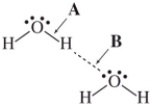 <strong>The drawing shows two water molecules.Which statement is correct?  </strong> A)A: covalent bond;B: hydrogen bond;B is stronger B)A: hydrogen bond;B: covalent bond;A is stronger C)A: covalent bond;B: hydrogen bond;A is stronger D)A: hydrogen bond;B: covalent bond;B is stronger <div style=padding-top: 35px> 