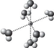 <strong>Which is the best representation showing a sodium cation in water?  </strong> A)   B)   C)   D)   <div style=padding-top: 35px> 