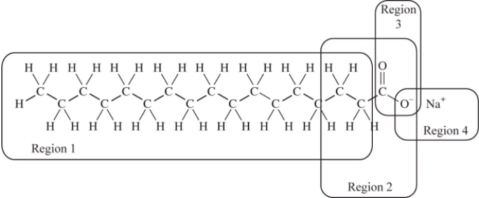 <strong>We cannot effectively clean nonpolar substances from our hands or clothing with water alone;we must add soap or detergent.The structure of a typical soap molecule is shown below.Which region of this molecule would dissolve in a nonpolar substance such as grease?  </strong> A)Region 1 B)Region 2 C)Region 3 D)Region 4 <div style=padding-top: 35px> 