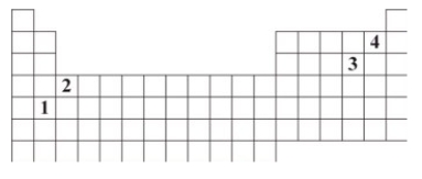 The numbers 1 through 4 are used to identify four different elements on the periodic table.Which element is expected to have 2+ charge when it forms an ion?