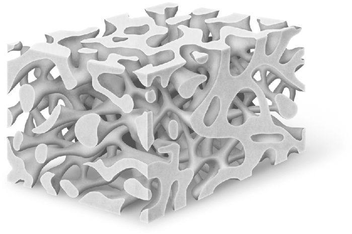 <strong>What type of bone is illustrated? </strong> A) hyaline cartilage B) spongy bone C) compact bone D) articular cartilage
