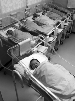 <strong>Which of the following statements concerning Afghanistan and the bacha posh, daughters transformed into sons, is true?  </strong> A) Families with only sons often experience shame and pity. B) Most of the time, a bacha posh returns to womanhood when the child enters puberty. C) Parents of bacha posh consider transforming their girls into boys to be cruel. D) Girls are highly prized. <div style=padding-top: 35px> 