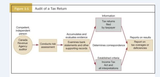 Use your knowledge of the definition of auditing and Figure 1-1: Audit of a Tax Return to explain how an auditor would conduct a privacy audit.