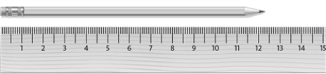 Consider the image below.   The smallest division on the ruler is a cm.<div style=padding-top: 35px> 