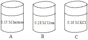Consider the solutions shown in the containers below.The composition of each solution is given in the image. Fill the blank with the appropriate term from the list below. isotonic hypotonic hypertonic crenation hemolysis no change The tonicity of the solution in container C is ______________________.