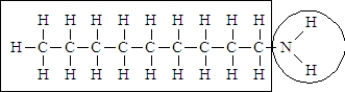 Consider the following structure. Complete the sentence using the appropriate terms given below. hydrophobic hydrophilic soluble insoluble The portion of the molecule in the box is classified as ______________________ and that in the circle is classified as_____________________.