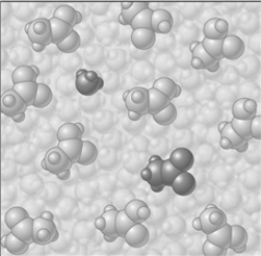 <strong>Consider the image which depicts the reaction between CH<sub>3</sub>COOH and H<sub>2</sub>O. Reactants: Products: If the composition of the equilibrium mixture is as represented below CH<sub>3</sub>COOH is classified as</strong> A)strong electrolyte B)weak electrolyte C)nonelectrolyte