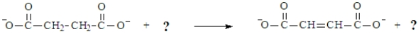 <strong>Consider the following biochemical reaction. To complete the reaction, which redox coenzymes should be used to replace the question marks, respectively?</strong> A)FAD, FADH<sub>2</sub> B)NAD<sup>+</sup>, NADH C)NADP<sup>+</sup>, NADPH D)Any of the above could be used.