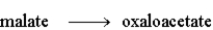 The following is a summary of the steps found in the metabolic pathway known as the Citric Acid Cycle. Step 1: Step 2: Step 3: Step 4: Step 5: Step 6: Step 7: Step 8: Fill in the blanks in the following question with the appropriate term from the list below. oxaloacetate oxidation citrate reduction isocitrate consumes a-ketoglutarate produces succinyl-CoA NADH succinate FAD fumarate NADPH malate Step 3 involves the conversion of an alcohol to a ketone and would therefore be classified as a(n) _______________________reaction.