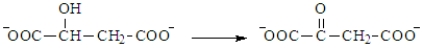 The following is a summary of the steps found in the metabolic pathway known as the Citric Acid Cycle. Step 1: Step 2: Step 3: Step 4: Step 5: Step 6: Step 7: Step 8: Fill in the blanks in the following question with the appropriate term from the list below. oxaloacetate oxidation citrate reduction isocitrate consumes a-ketoglutarate produces succinyl-CoA NADH succinate FAD fumarate NADPH malate The following reaction shows the structures of the species involved in Step 8. This step would also involve the coenzyme _________________ as a product.