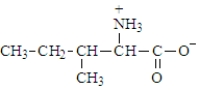 The structure of isoleucine is The zwitterion form of the amino acid isoleucine is