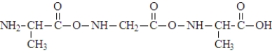 When three molecules of the amino acid alanine, shown below, react the polymer segment formed would be: