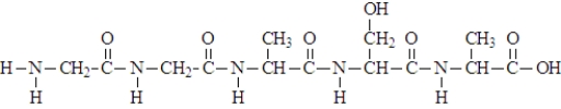 When the following protein formed, five molecules of water were produced.