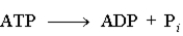 Consider the following reaction. This reaction is a hydrolysis reaction.