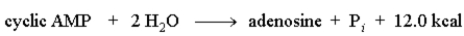 The following reaction could be used to form ATP form ADP.