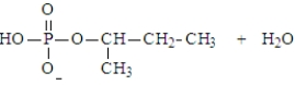 <strong>Predict the products of the following reaction. Assume the pH is 7. </strong> A) B) C) D) E)Both a and d could form at pH 7.