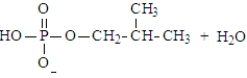 <strong>Predict the products of the following reaction. Assume the pH is 7. </strong> A) B) C) D) E)Both a and d could form at pH 7.
