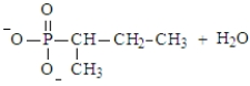 <strong>Predict the products of the following reaction. Assume the pH is 7. </strong> A) B) C) D) E)Both a and d could form at pH 7.